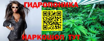 альфа пвп Кимры