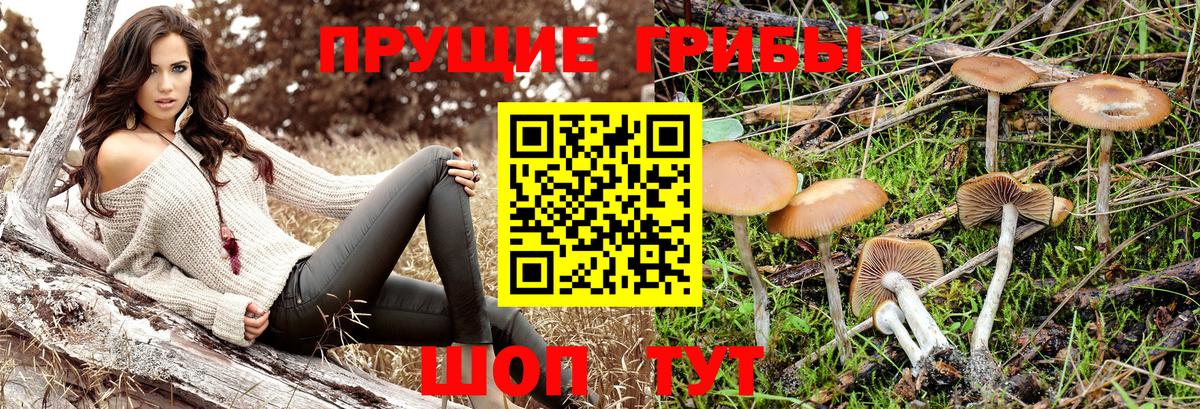 Галлюциногенные грибы мухоморы  Вход с VPN  Великий Устюг  Псилоцибиновые грибы мицелий 